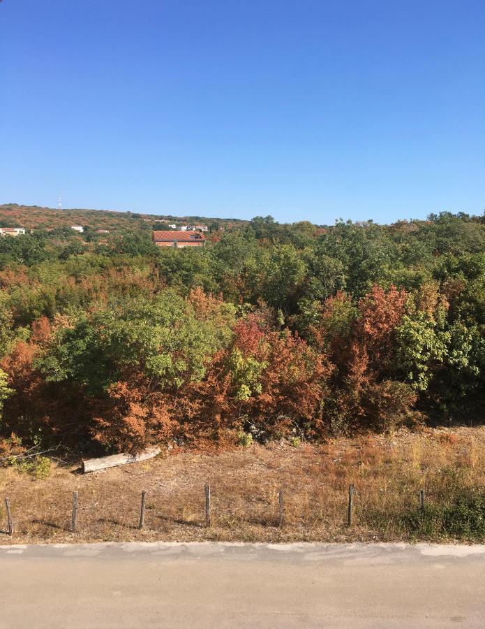 Mitra Apartments Malinska Bagian luar foto